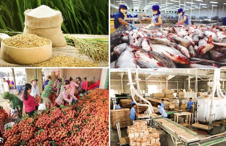 Agro-forestry-fishery exports hit nearly US$60 billion in eight months